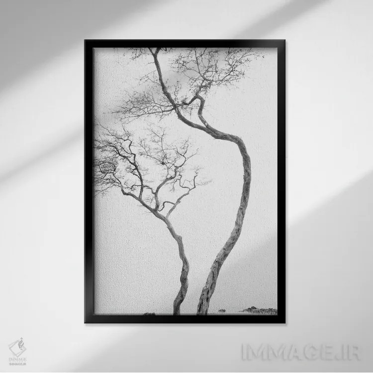 تابلو دکوراتیو تلاش اثر دنیس فراتس - نمای قابدار مشکی