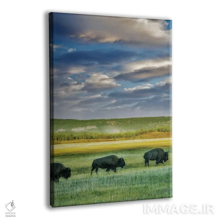 تابلو دکوراتیو قطار بوفالو ۲ اثر دنیس فراتس - نمای پرسپکتیو محصول