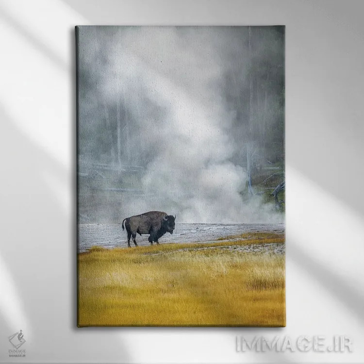 تابلو دکوراتیو بوفالو در استخر حرارتی ۲ اثر دنیس فراتس - نمای روبهرو روی دیوار