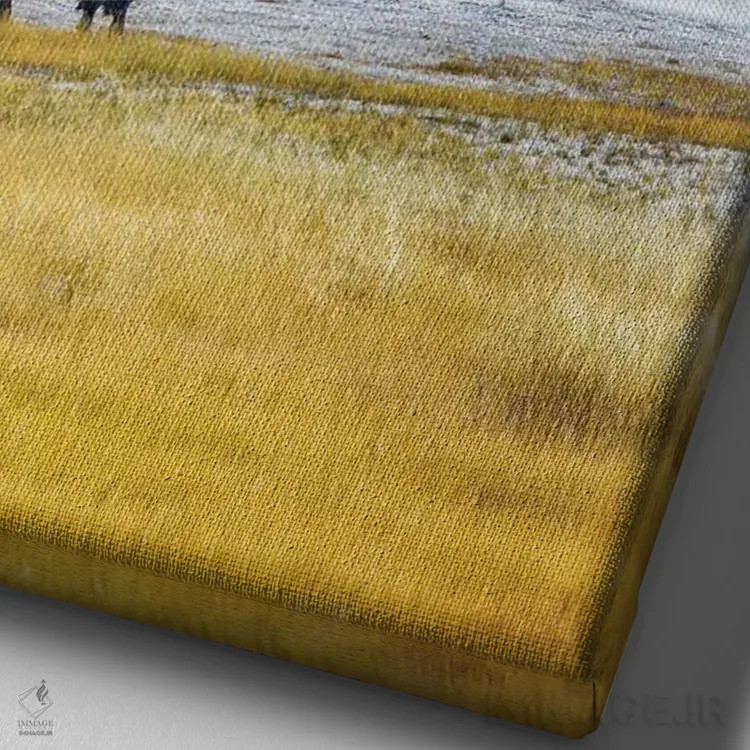 تابلو دکوراتیو بوفالو در استخر حرارتی ۲ اثر دنیس فراتس - نمای نزدیک بافت بوم