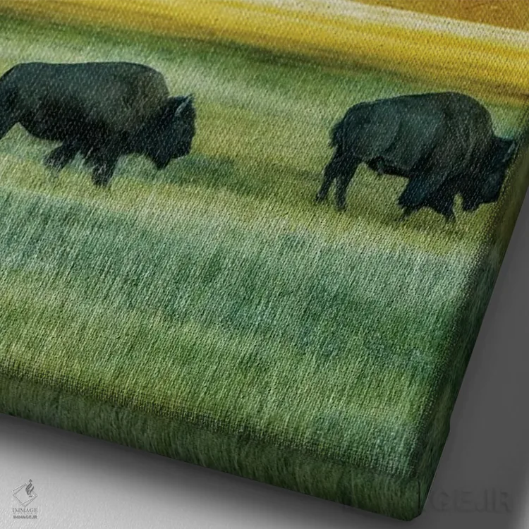 تابلو دکوراتیو قطار بوفالو ۲ اثر دنیس فراتس - نمای نزدیک بافت بوم
