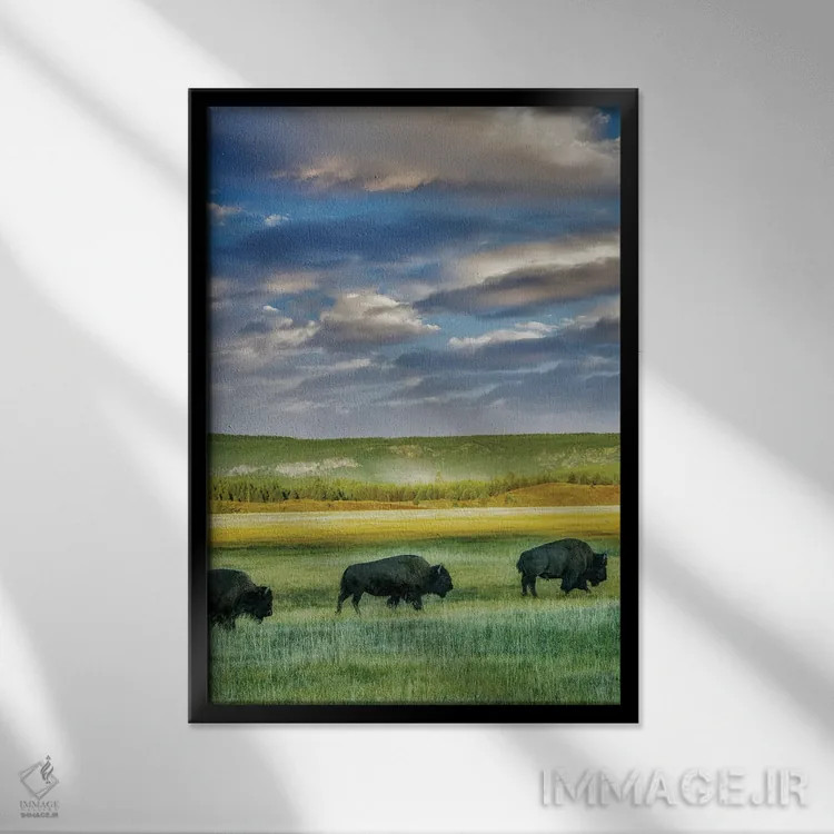 تابلو دکوراتیو قطار بوفالو ۲ اثر دنیس فراتس - نمای قابدار مشکی
