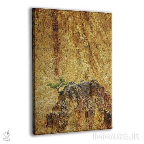 تابلو دکوراتیو درخت تنها در یلواستون III اثر دنیس فراتس - نمای پرسپکتیو محصول