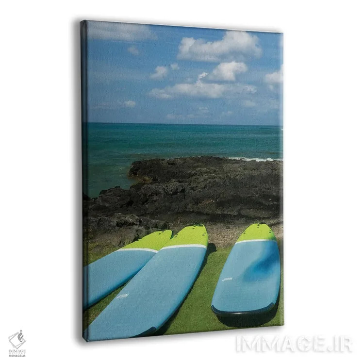 تابلو دکوراتیو تخته های موج سواری و اقیانوس II اثر دنیس فراتس - نمای پرسپکتیو محصول