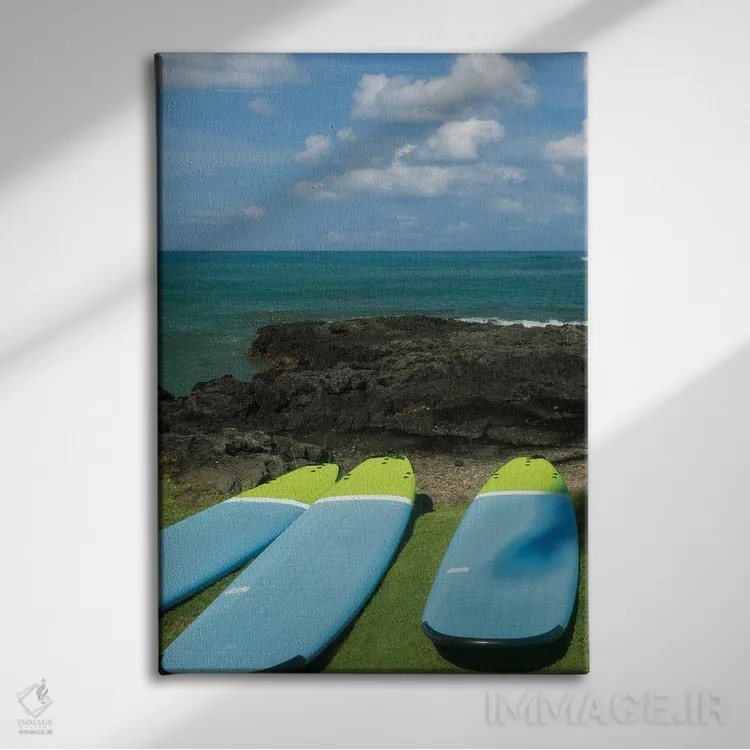 تابلو دکوراتیو تخته های موج سواری و اقیانوس II اثر دنیس فراتس - نمای روبهرو روی دیوار