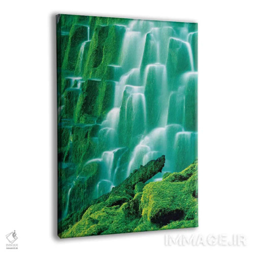 تابلو دکوراتیو آبشار پوشیده از خزه اثر دنیس فراتس - نمای پرسپکتیو محصول