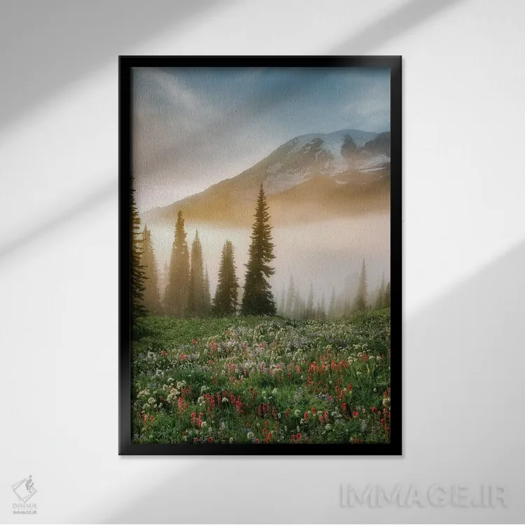 تابلو دکوراتیو گل های وحشی راینیر اثر دنیس فراتس - نمای قابدار مشکی