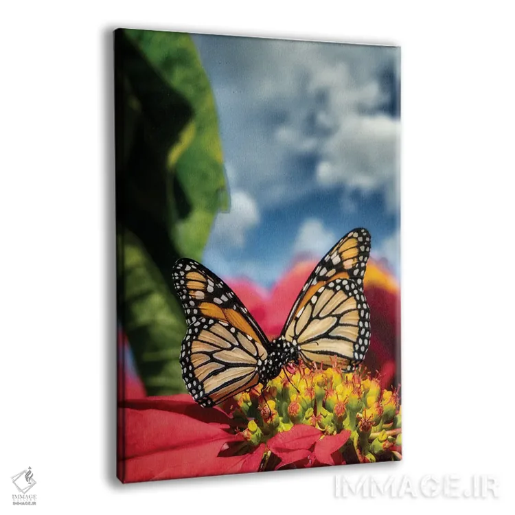 تابلو دکوراتیو پروانه های شهریار ۱ اثر دنیس فراتس - نمای پرسپکتیو محصول