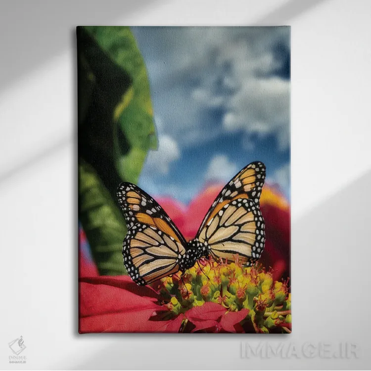 تابلو دکوراتیو پروانه های شهریار ۱ اثر دنیس فراتس - نمای روبهرو روی دیوار
