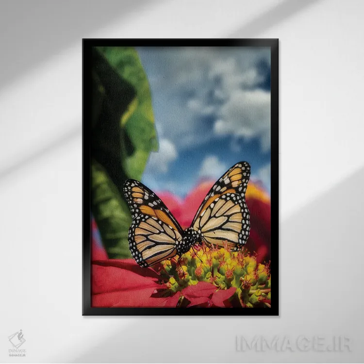 تابلو دکوراتیو پروانه های شهریار ۱ اثر دنیس فراتس - نمای قابدار مشکی