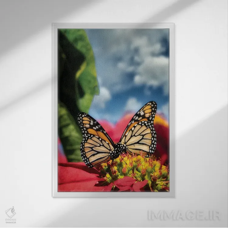تابلو دکوراتیو پروانه های شهریار ۱ اثر دنیس فراتس - نمای قابدار سفید
