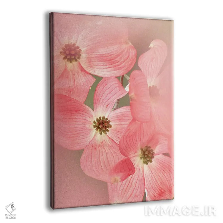 تابلو دکوراتیو شکوفه های درخت داگ وود اثر دنیس فراتس - نمای پرسپکتیو محصول