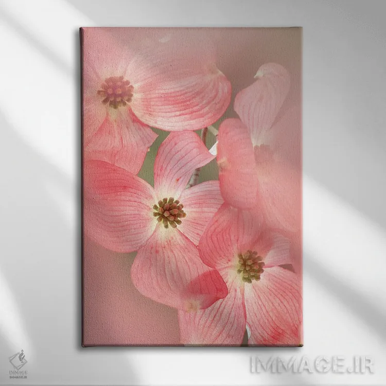 تابلو دکوراتیو شکوفه های درخت داگ وود اثر دنیس فراتس - نمای روبهرو روی دیوار