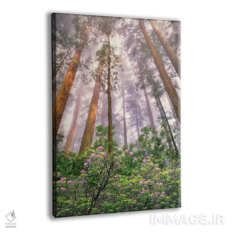 تابلو دکوراتیو طلوع درخت ردوود اثر دنیس فراتس - نمای پرسپکتیو محصول