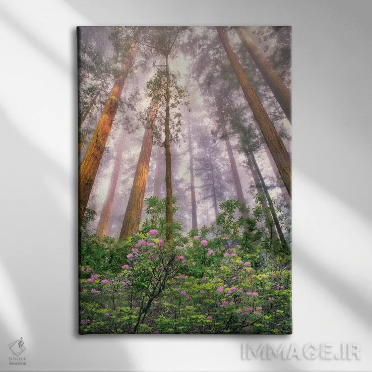 تابلو دکوراتیو طلوع درخت ردوود اثر دنیس فراتس - نمای روبهرو روی دیوار