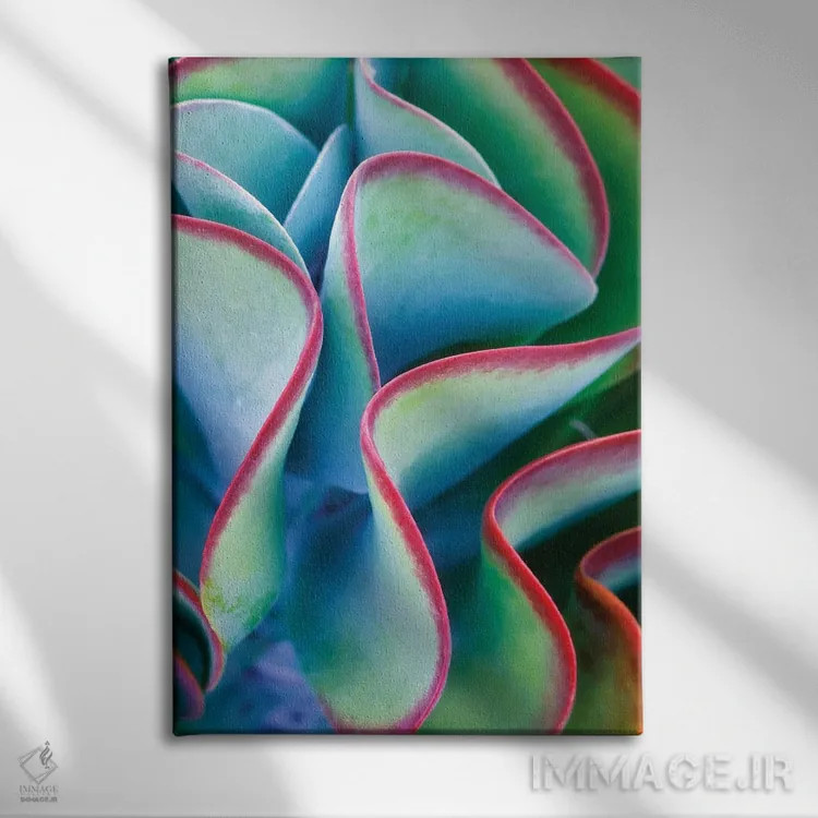تابلو دکوراتیو ساکولنت گرمسیری اثر دنیس فراتس - نمای روبهرو روی دیوار