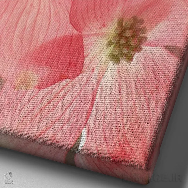 تابلو دکوراتیو شکوفه های درخت داگ وود اثر دنیس فراتس - نمای نزدیک بافت بوم