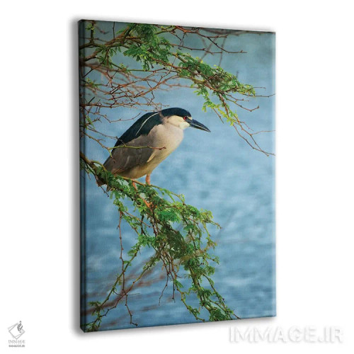 تابلو دکوراتیو شکار ماهی خور دو اثر دنیس فراتس - نمای پرسپکتیو محصول