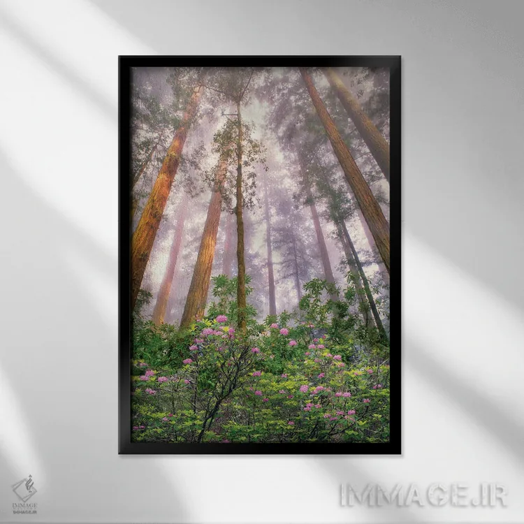 تابلو دکوراتیو طلوع درخت ردوود اثر دنیس فراتس - نمای قابدار مشکی