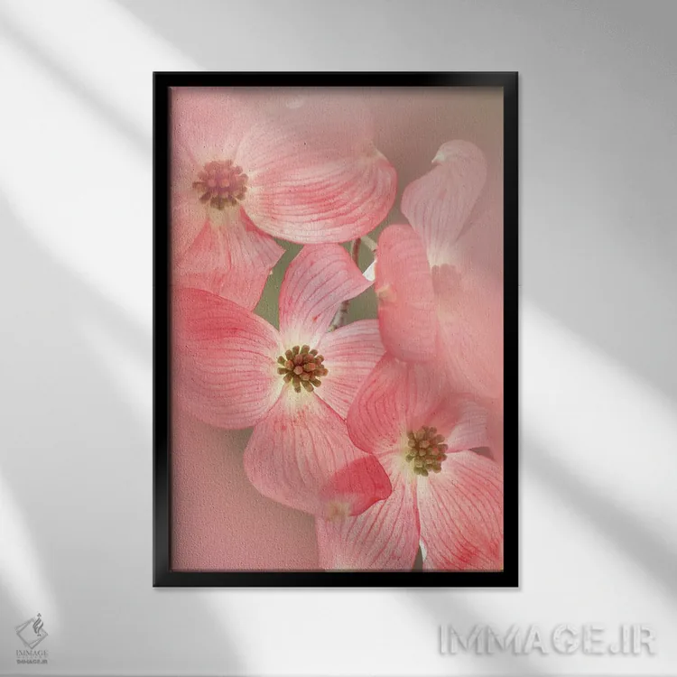 تابلو دکوراتیو شکوفه های درخت داگ وود اثر دنیس فراتس - نمای قابدار مشکی