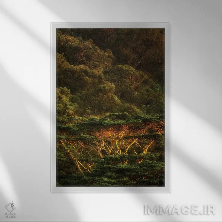 تابلو دکوراتیو درختان گرمسیری II اثر دنیس فراتس - نمای قابدار سفید