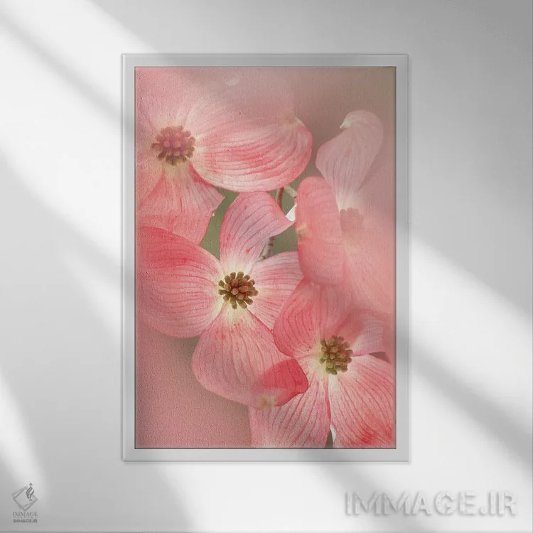 تابلو دکوراتیو شکوفه های درخت داگ وود اثر دنیس فراتس - نمای قابدار سفید