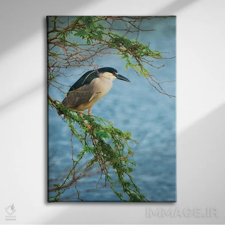 تابلو دکوراتیو شکار ماهی خور دو اثر دنیس فراتس - نمای روبهرو روی دیوار