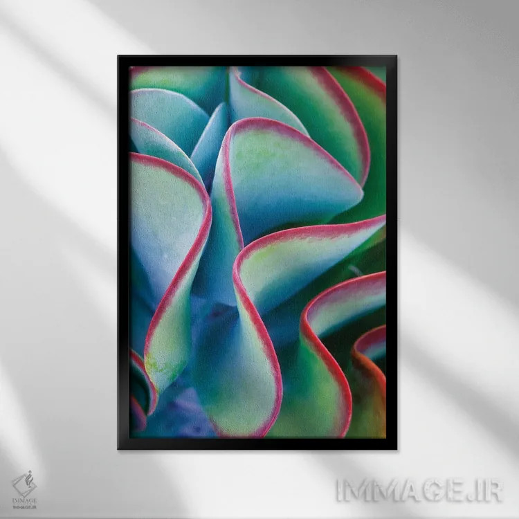 تابلو دکوراتیو ساکولنت گرمسیری اثر دنیس فراتس - نمای قابدار مشکی
