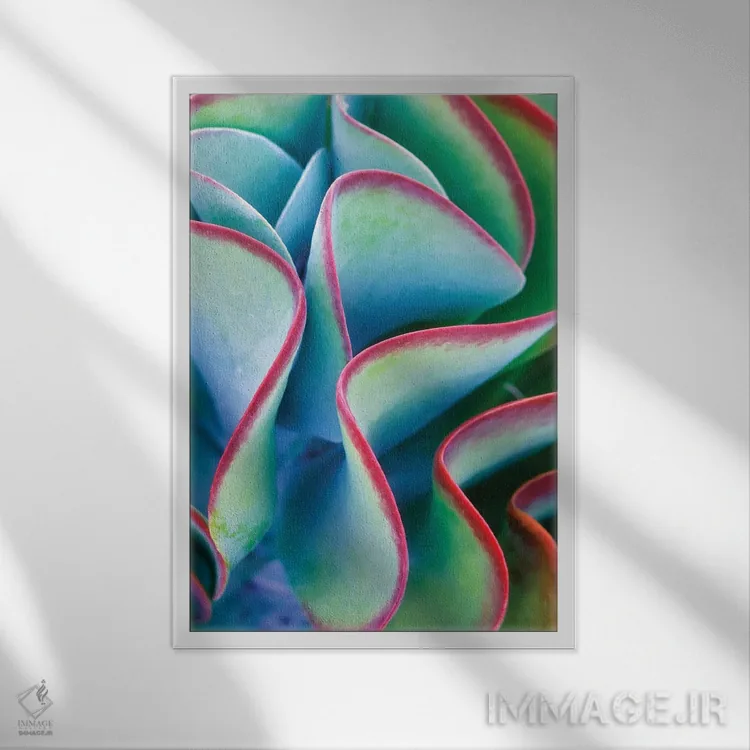 تابلو دکوراتیو ساکولنت گرمسیری اثر دنیس فراتس - نمای قابدار سفید