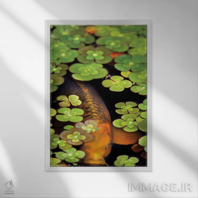 تابلو دکوراتیو برکه قورباغه ها دو اثر دنیس فراتس - نمای قابدار سفید