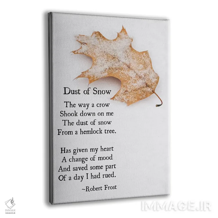 تابلو دکوراتیو گرد برف اثر دبرا اوبرتانک - نمای پرسپکتیو محصول