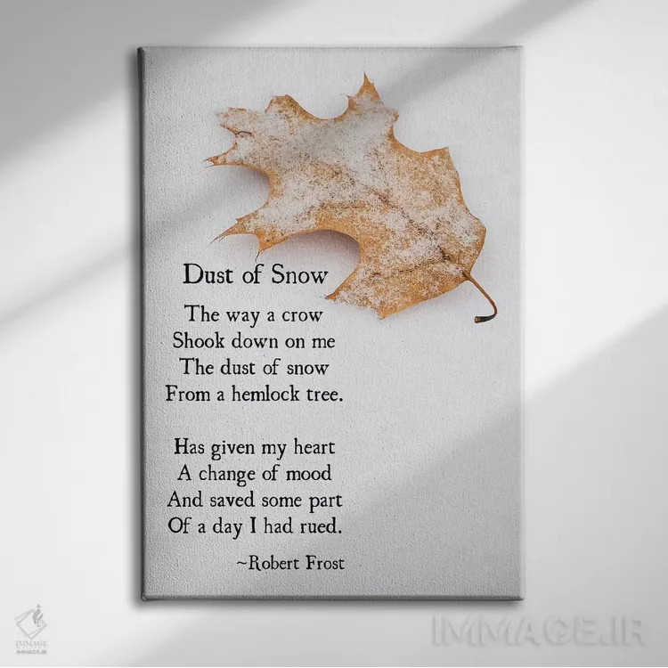 تابلو دکوراتیو گرد برف اثر دبرا اوبرتانک - نمای روبهرو روی دیوار