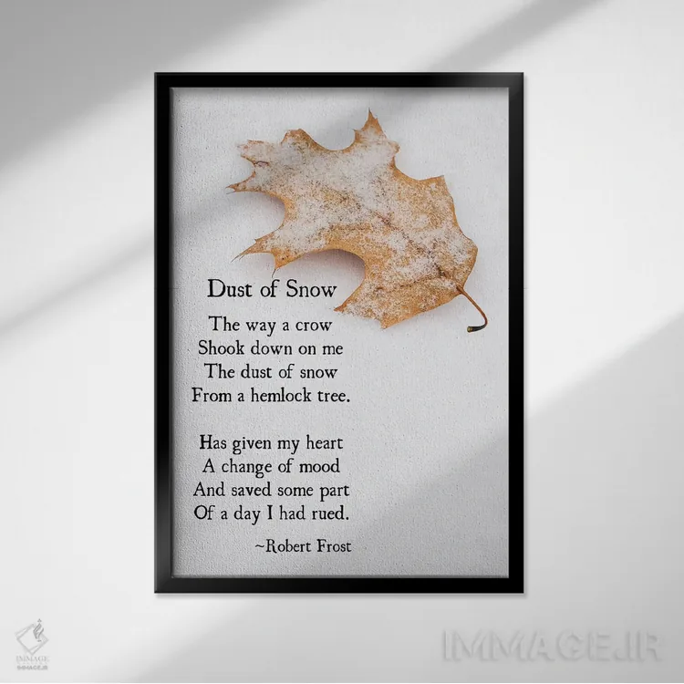 تابلو دکوراتیو گرد برف اثر دبرا اوبرتانک - نمای قابدار مشکی