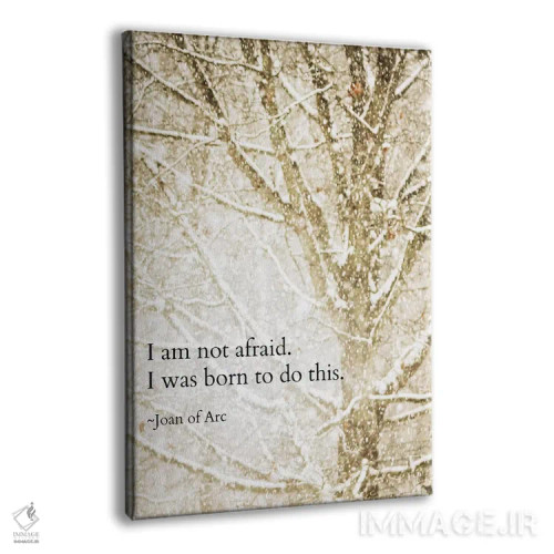 تابلو دکوراتیو من نمی ترسم اثر دبرا اوبرتانک - نمای پرسپکتیو محصول