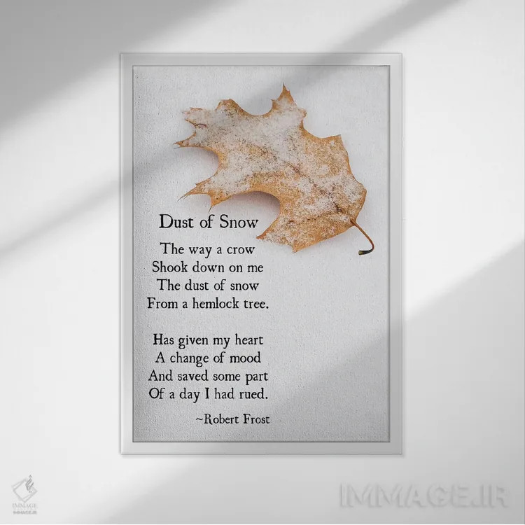 تابلو دکوراتیو گرد برف اثر دبرا اوبرتانک - نمای قابدار سفید