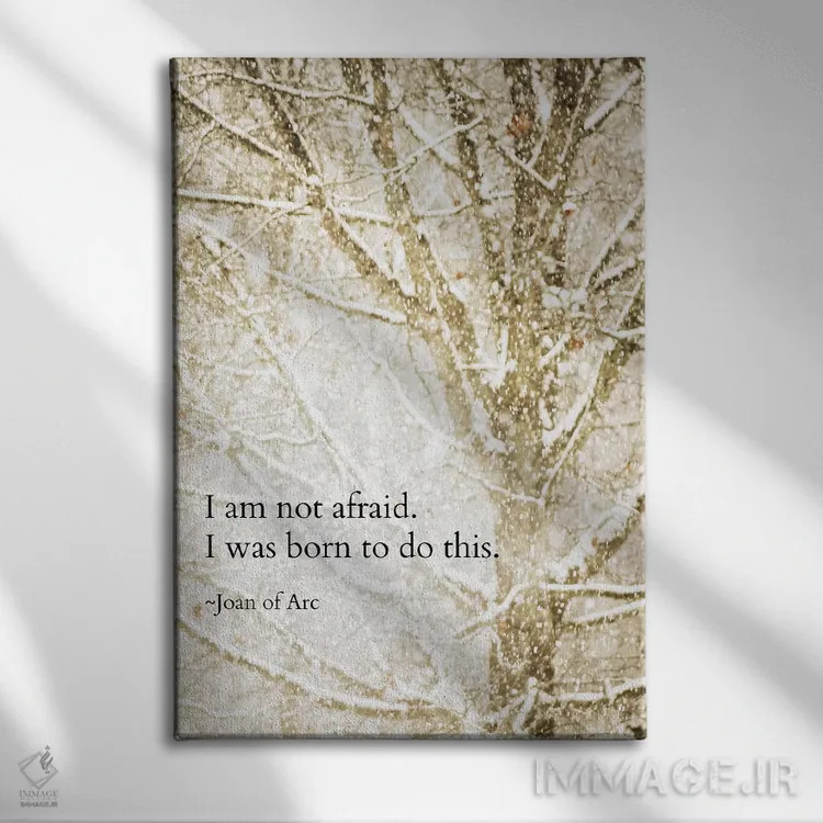 تابلو دکوراتیو من نمی ترسم اثر دبرا اوبرتانک - نمای روبهرو روی دیوار