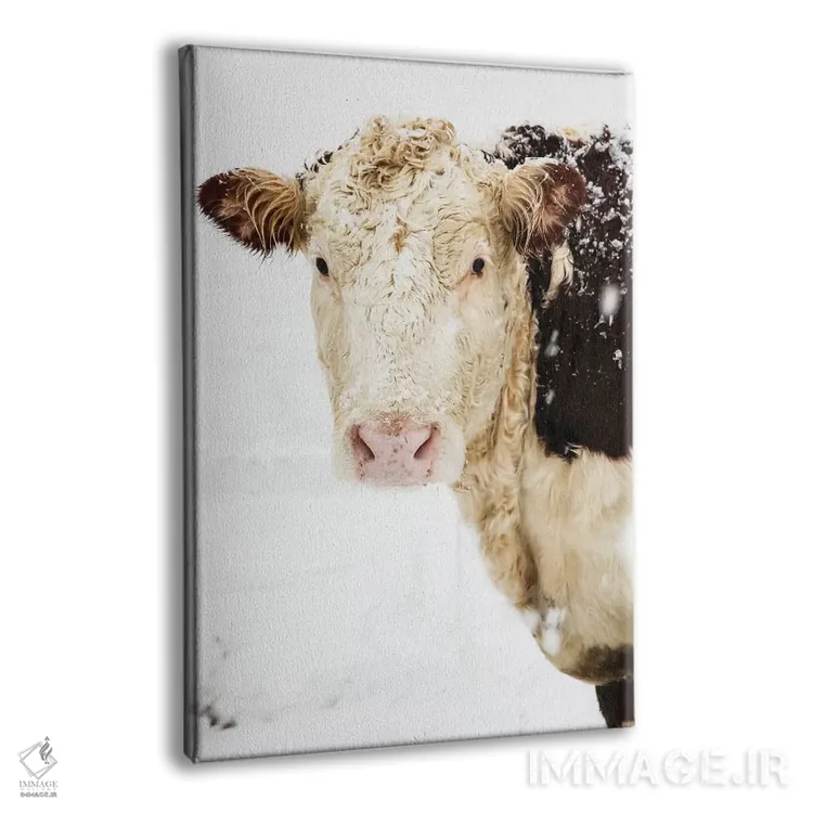 تابلو دکوراتیو نگاه کردن به تو اثر دبرا اوبرتانک - نمای پرسپکتیو محصول