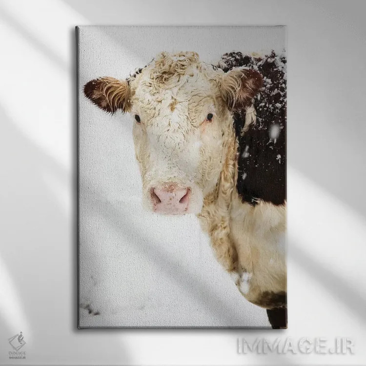 تابلو دکوراتیو نگاه کردن به تو اثر دبرا اوبرتانک - نمای روبهرو روی دیوار