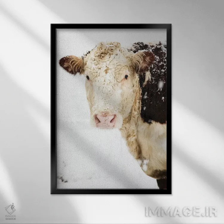 تابلو دکوراتیو نگاه کردن به تو اثر دبرا اوبرتانک - نمای قابدار مشکی