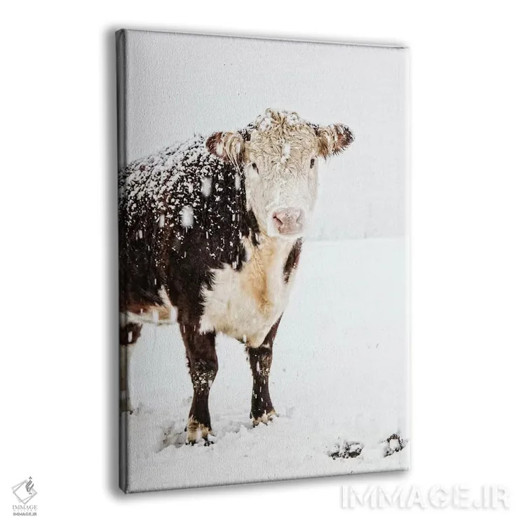 تابلو دکوراتیو زیبایی اثر دبرا اوبرتانک - نمای پرسپکتیو محصول