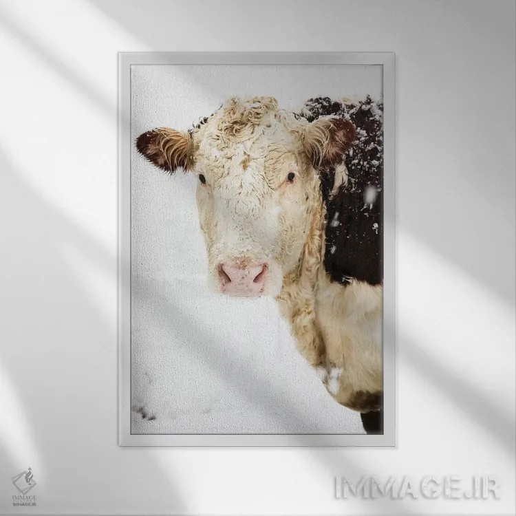 تابلو دکوراتیو نگاه کردن به تو اثر دبرا اوبرتانک - نمای قابدار سفید