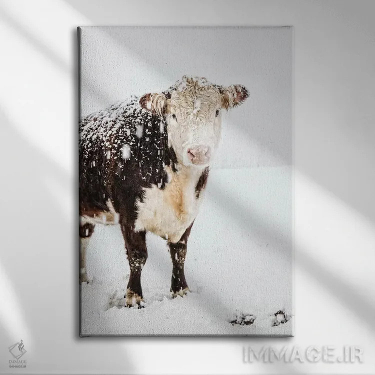 تابلو دکوراتیو زیبایی اثر دبرا اوبرتانک - نمای روبهرو روی دیوار