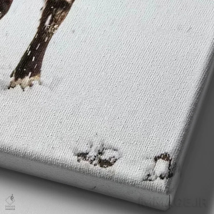 تابلو دکوراتیو زیبایی اثر دبرا اوبرتانک - نمای نزدیک بافت بوم