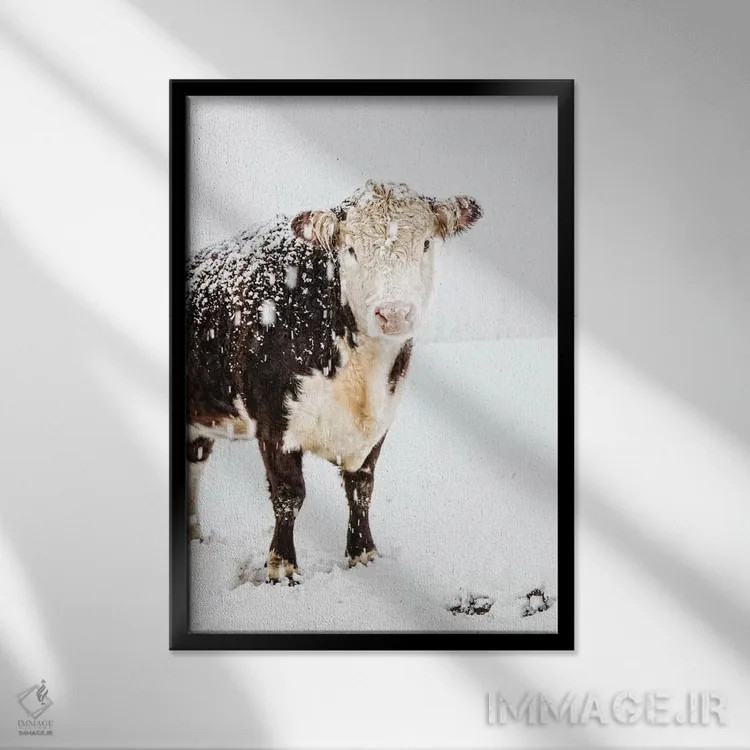 تابلو دکوراتیو زیبایی اثر دبرا اوبرتانک - نمای قابدار مشکی