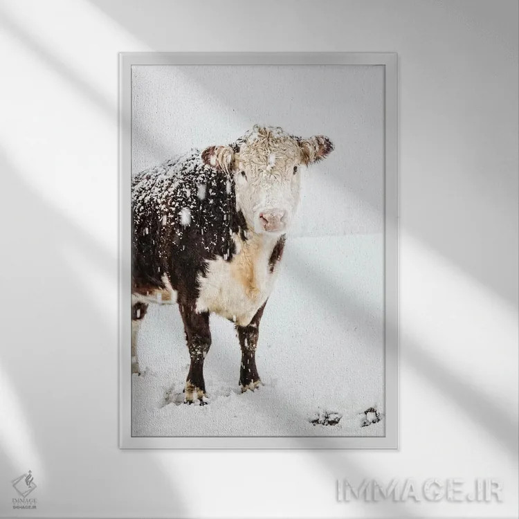 تابلو دکوراتیو زیبایی اثر دبرا اوبرتانک - نمای قابدار سفید