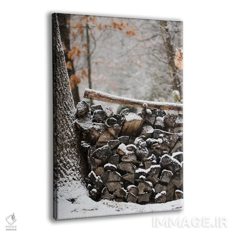 تابلو دکوراتیو هیمه برفی اثر دبرا اوبرتانک - نمای پرسپکتیو محصول