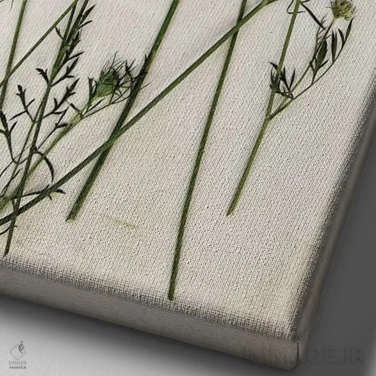تابلو مدرن گیاه ملکه آن اثر دبرا اوبرتانک - نمای نزدیک بافت بوم