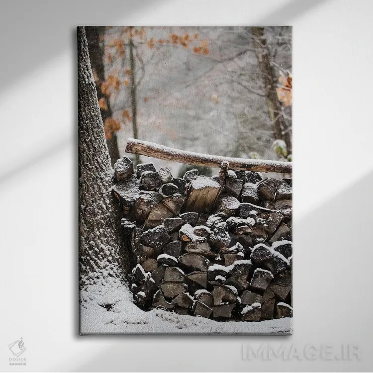 تابلو دکوراتیو هیمه برفی اثر دبرا اوبرتانک - نمای روبهرو روی دیوار