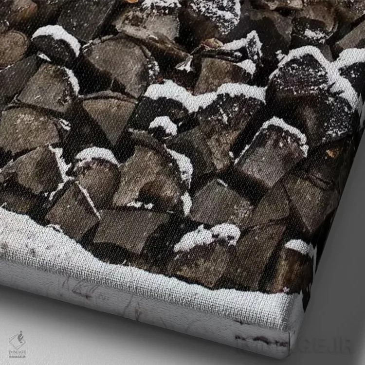 تابلو دکوراتیو هیمه برفی اثر دبرا اوبرتانک - نمای نزدیک بافت بوم