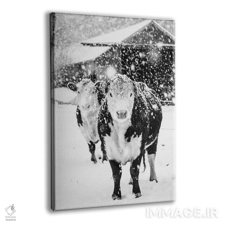 تابلو دکوراتیو زمستان سفید در مزرعه اثر دبرا اوبرتانک - نمای پرسپکتیو محصول